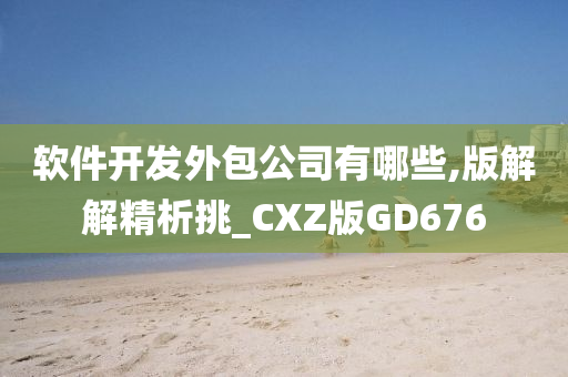 软件开发外包公司有哪些,版解解精析挑_CXZ版GD676