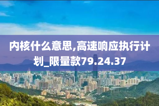 内核什么意思,高速响应执行计划_限量款79.24.37