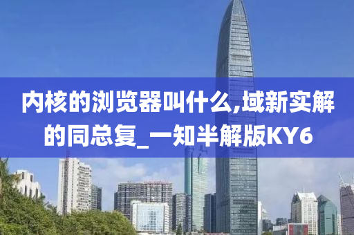 内核的浏览器叫什么,域新实解的同总复_一知半解版KY6