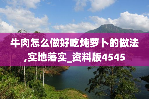 牛肉怎么做好吃炖萝卜的做法,实地落实_资料版4545