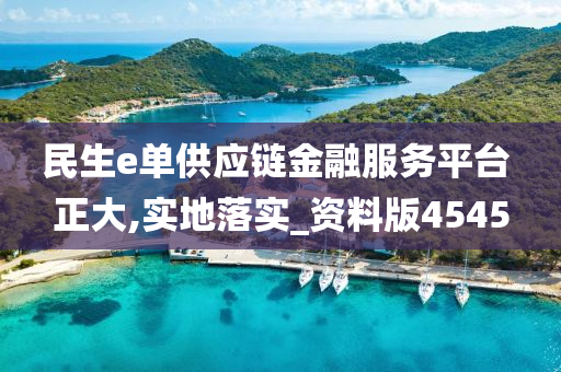 民生e单供应链金融服务平台 正大,实地落实_资料版4545