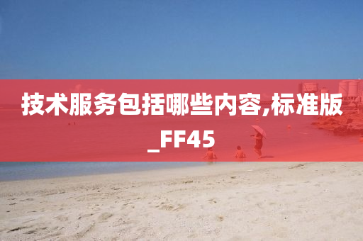 技术服务包括哪些内容,标准版_FF45