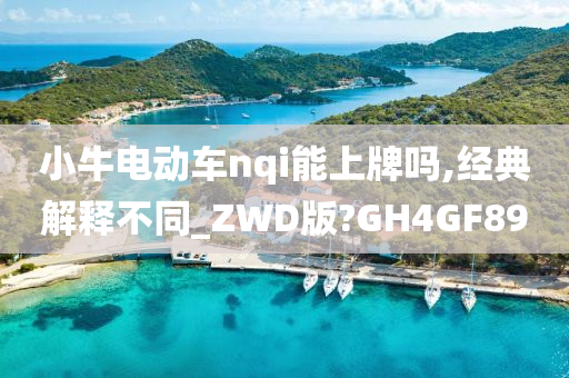 小牛电动车nqi能上牌吗,经典解释不同_ZWD版?GH4GF89