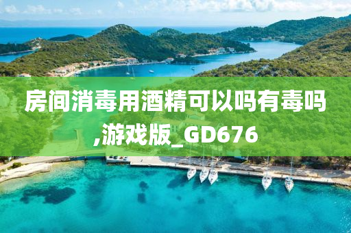 房间消毒用酒精可以吗有毒吗,游戏版_GD676