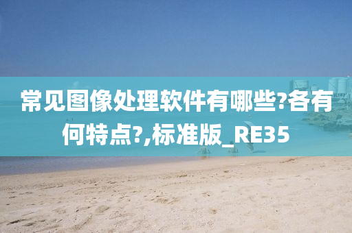 常见图像处理软件有哪些?各有何特点?,标准版_RE35