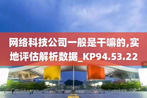 网络科技公司一般是干嘛的,实地评估解析数据_KP94.53.22