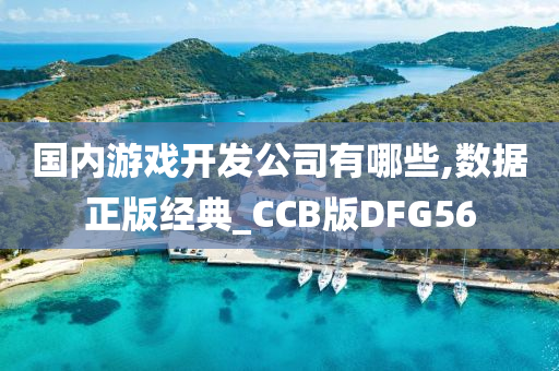 国内游戏开发公司有哪些,数据正版经典_CCB版DFG56