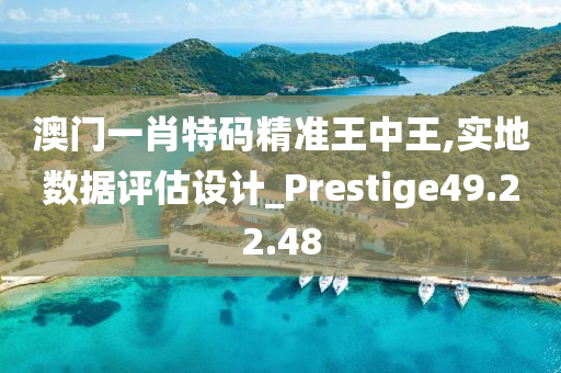 澳门一肖特码精准王中王,实地数据评估设计_Prestige49.22.48