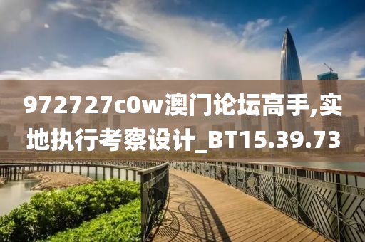 972727c0w澳门论坛高手,实地执行考察设计_BT15.39.73