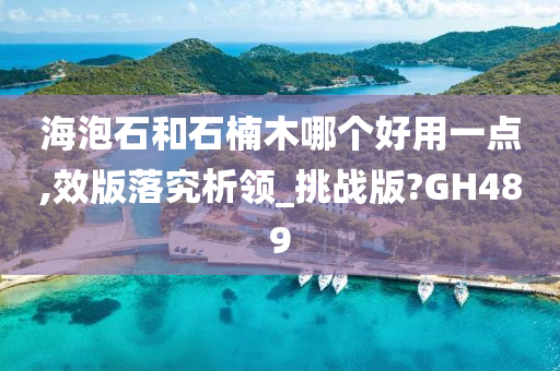 海泡石和石楠木哪个好用一点,效版落究析领_挑战版?GH489