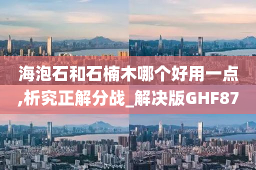 海泡石和石楠木哪个好用一点,析究正解分战_解决版GHF87