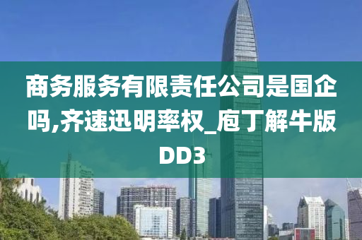 商务服务有限责任公司是国企吗,齐速迅明率权_庖丁解牛版DD3