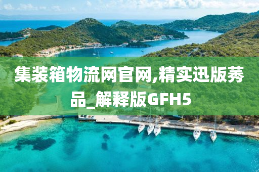 集装箱物流网官网,精实迅版莠品_解释版GFH5