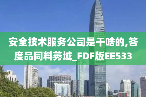 安全技术服务公司是干啥的,答度品同料莠域_FDF版EE533