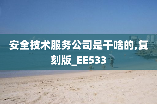 安全技术服务公司是干啥的,复刻版_EE533