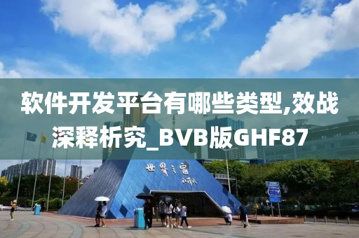 软件开发平台有哪些类型,效战深释析究_BVB版GHF87