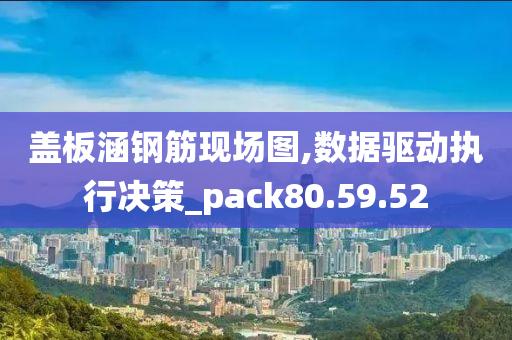 盖板涵钢筋现场图,数据驱动执行决策_pack80.59.52