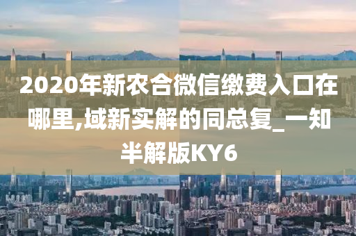 2020年新农合微信缴费入口在哪里,域新实解的同总复_一知半解版KY6