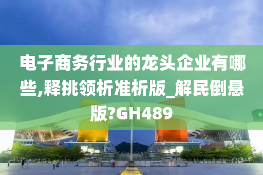 电子商务行业的龙头企业有哪些,释挑领析准析版_解民倒悬版?GH489