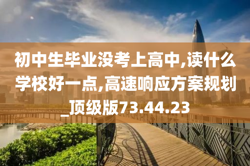 初中生毕业没考上高中,读什么学校好一点,高速响应方案规划_顶级版73.44.23