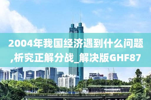 2004年我国经济遇到什么问题,析究正解分战_解决版GHF87