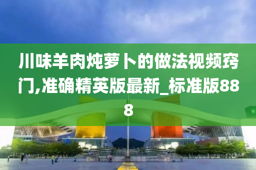 川味羊肉炖萝卜的做法视频窍门,准确精英版最新_标准版888