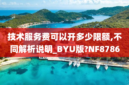 技术服务费可以开多少限额,不同解析说明_BYU版?NF8786