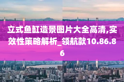 立式鱼缸造景图片大全高清,实效性策略解析_领航款10.86.86