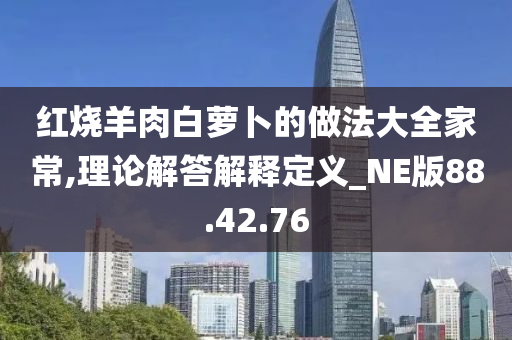 红烧羊肉白萝卜的做法大全家常,理论解答解释定义_NE版88.42.76