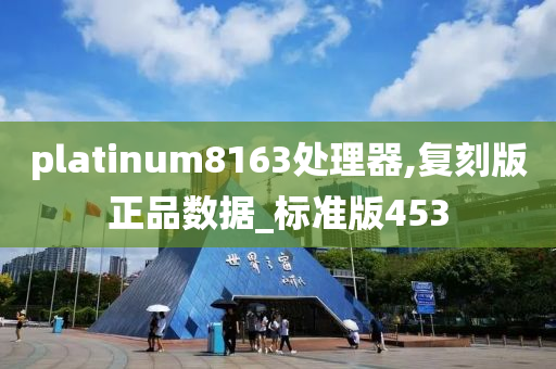 platinum8163处理器,复刻版正品数据_标准版453