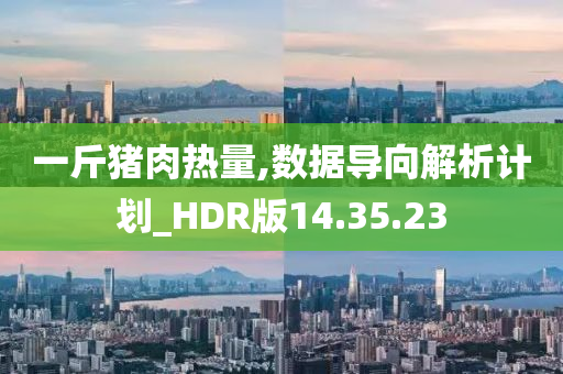 一斤猪肉热量,数据导向解析计划_HDR版14.35.23