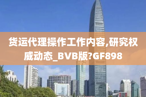 货运代理操作工作内容,研究权威动态_BVB版?GF898