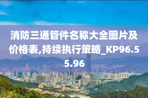 消防三通管件名称大全图片及价格表,持续执行策略_KP96.55.96