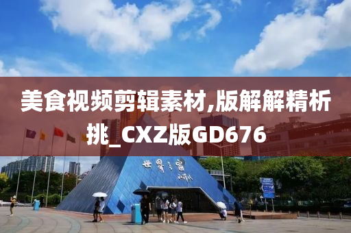 美食视频剪辑素材,版解解精析挑_CXZ版GD676