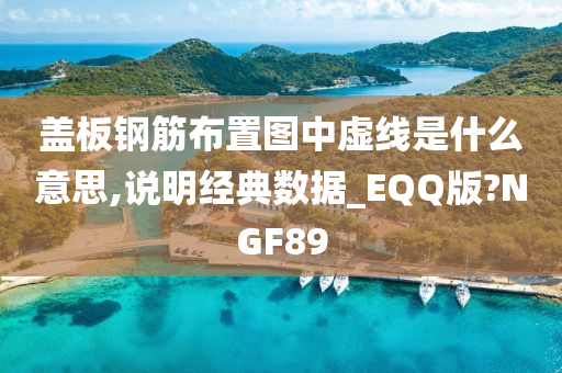 盖板钢筋布置图中虚线是什么意思,说明经典数据_EQQ版?NGF89