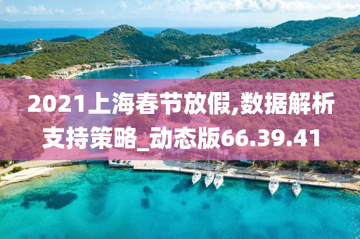 2021上海春节放假,数据解析支持策略_动态版66.39.41