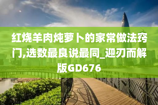 红烧羊肉炖萝卜的家常做法窍门,选数最良说最同_迎刃而解版GD676