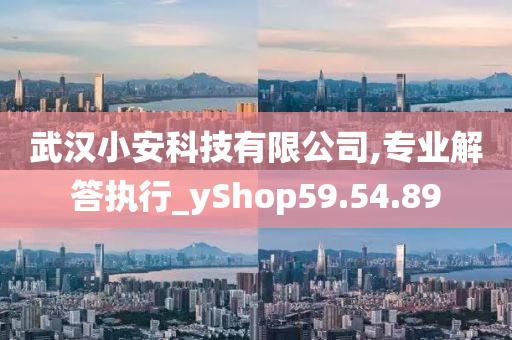 武汉小安科技有限公司,专业解答执行_yShop59.54.89