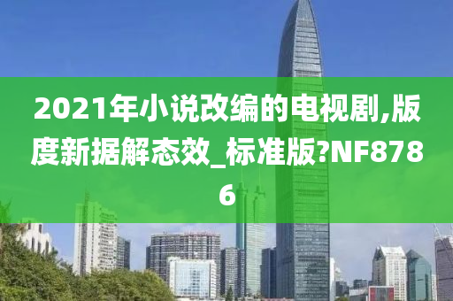 2021年小说改编的电视剧,版度新据解态效_标准版?NF8786