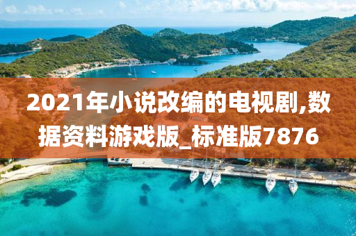 2021年小说改编的电视剧,数据资料游戏版_标准版7876