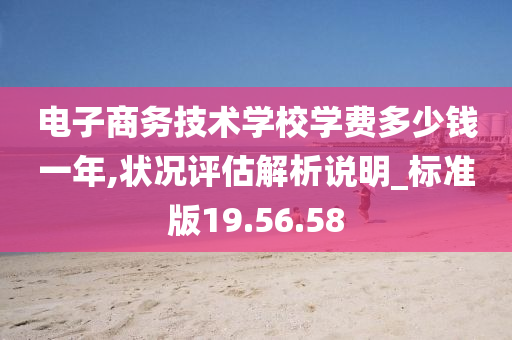 电子商务技术学校学费多少钱一年,状况评估解析说明_标准版19.56.58