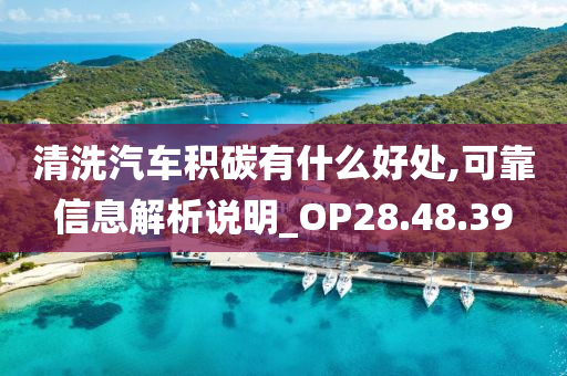 清洗汽车积碳有什么好处,可靠信息解析说明_OP28.48.39