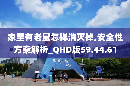 家里有老鼠怎样消灭掉,安全性方案解析_QHD版59.44.61