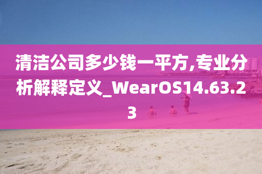 清洁公司多少钱一平方,专业分析解释定义_WearOS14.63.23