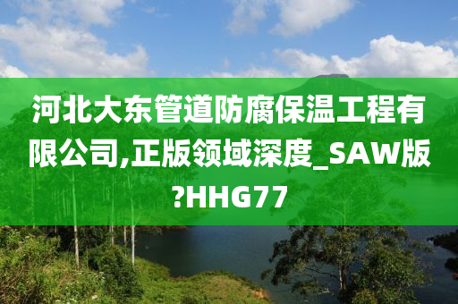 河北大东管道防腐保温工程有限公司,正版领域深度_SAW版?HHG77