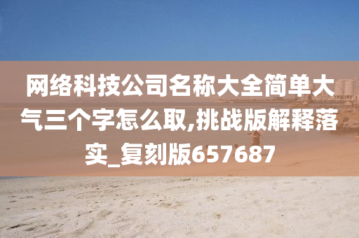 网络科技公司名称大全简单大气三个字怎么取,挑战版解释落实_复刻版657687