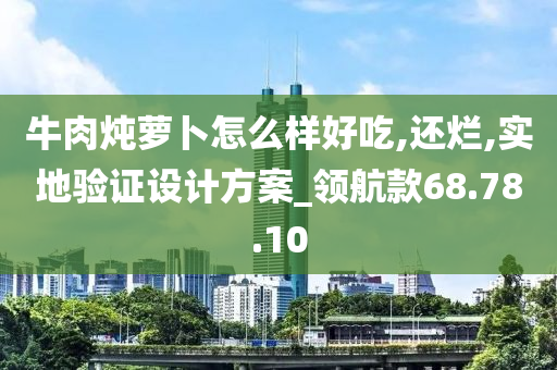 牛肉炖萝卜怎么样好吃,还烂,实地验证设计方案_领航款68.78.10