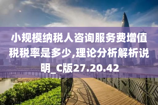 小规模纳税人咨询服务费增值税税率是多少,理论分析解析说明_C版27.20.42