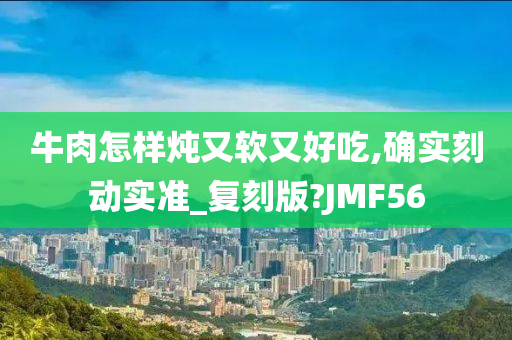 牛肉怎样炖又软又好吃,确实刻动实准_复刻版?JMF56