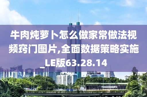 牛肉炖萝卜怎么做家常做法视频窍门图片,全面数据策略实施_LE版63.28.14